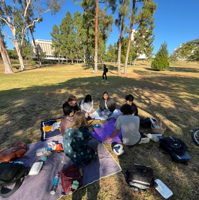 Potluck Picnic